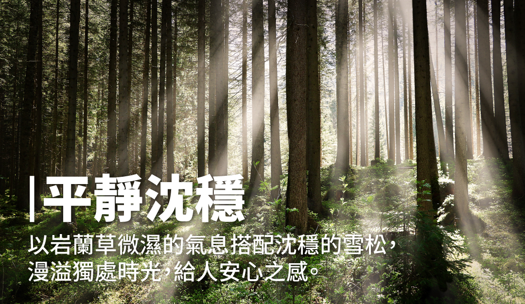 【MIRADA】四入全包組 （特洛伊＋貝拉＋妖精之吻＋曠野星空）商品說明圖