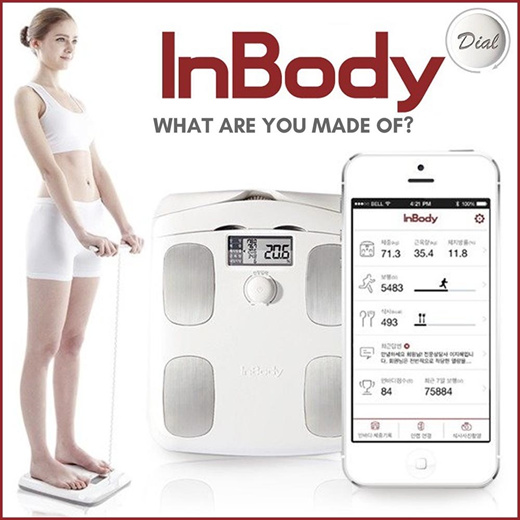 【韓國】InBody 家用版 體脂計 H20B 白色