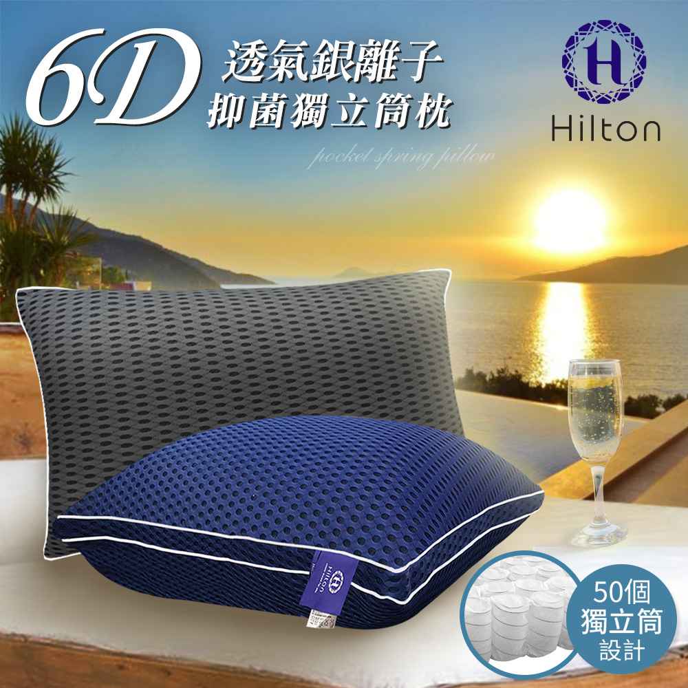 【Hilton 希爾頓】6D超涼感透氣銀離子抑菌獨立筒枕/二色任選 B0109 