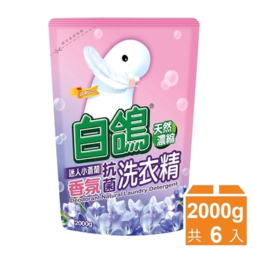 【白鴿】天然濃縮抗菌洗衣精 小蒼蘭香 補充包2000g  箱購6入 