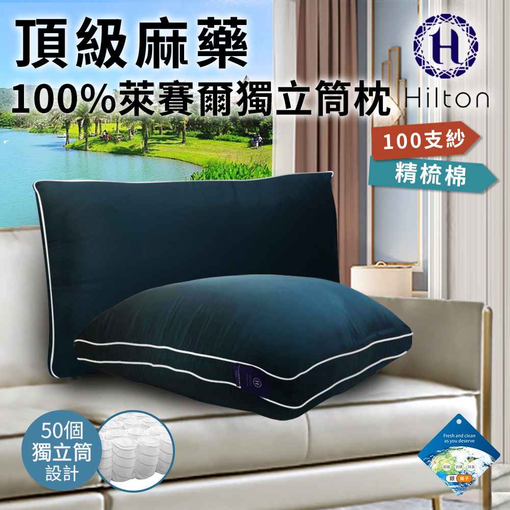 買一送一【Hilton希爾頓】100支紗萊賽爾獨立筒枕/藍 B0119-NX 