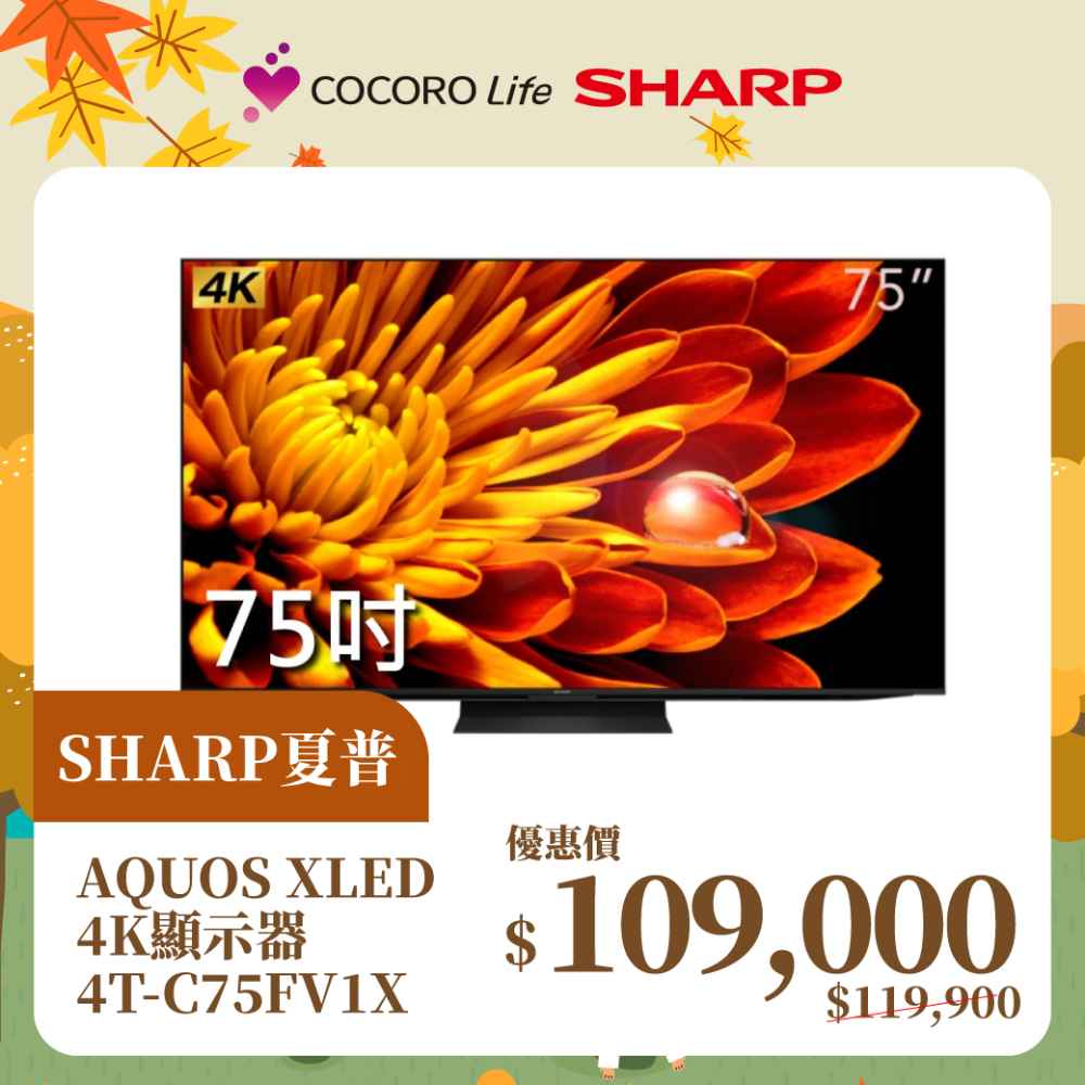 【夏普】AQUOS XLED 4K顯示器4T-C75FV1X