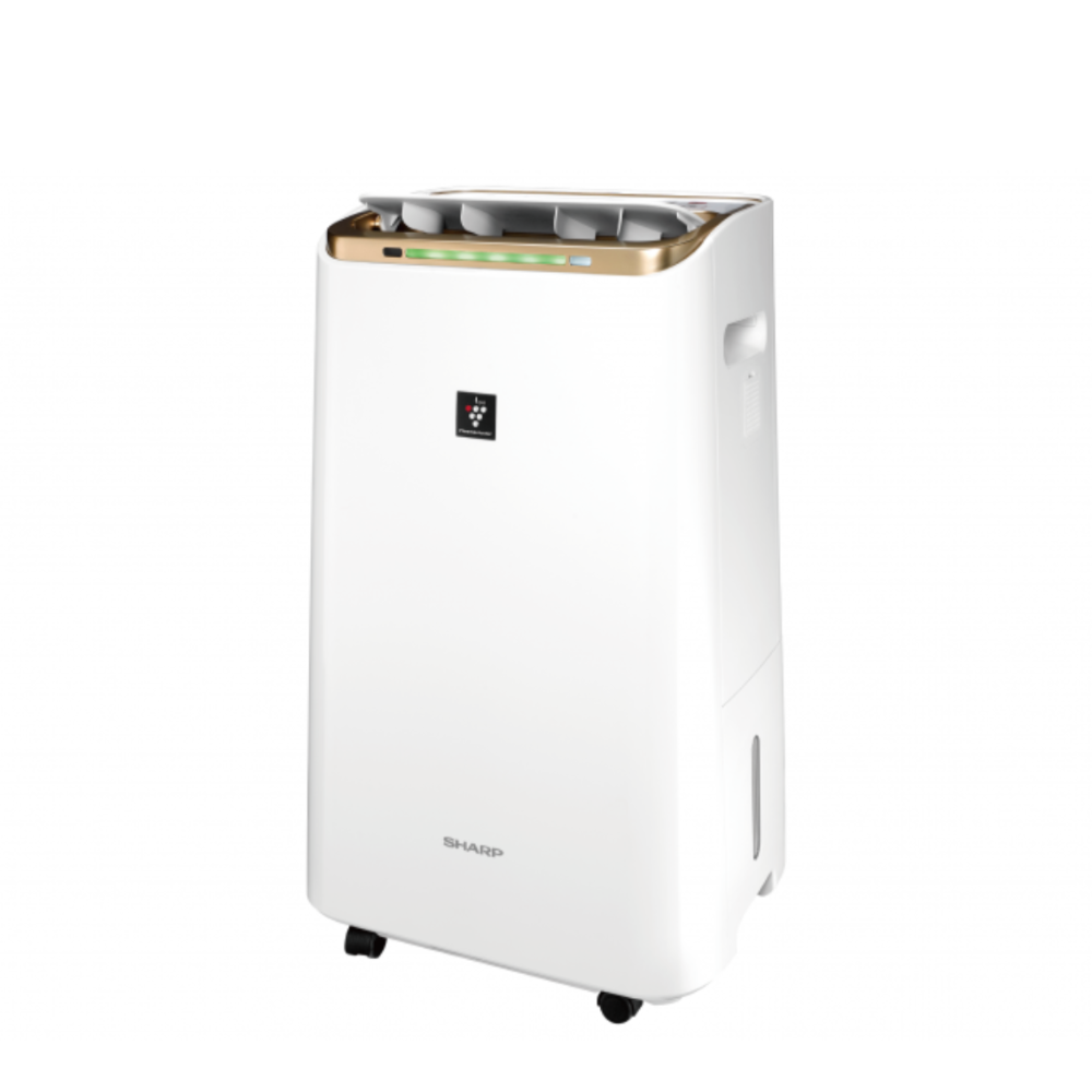 限量福利品【夏普】DW-LT12FT-W-FS 2合1空氣清淨除濕機 12L
