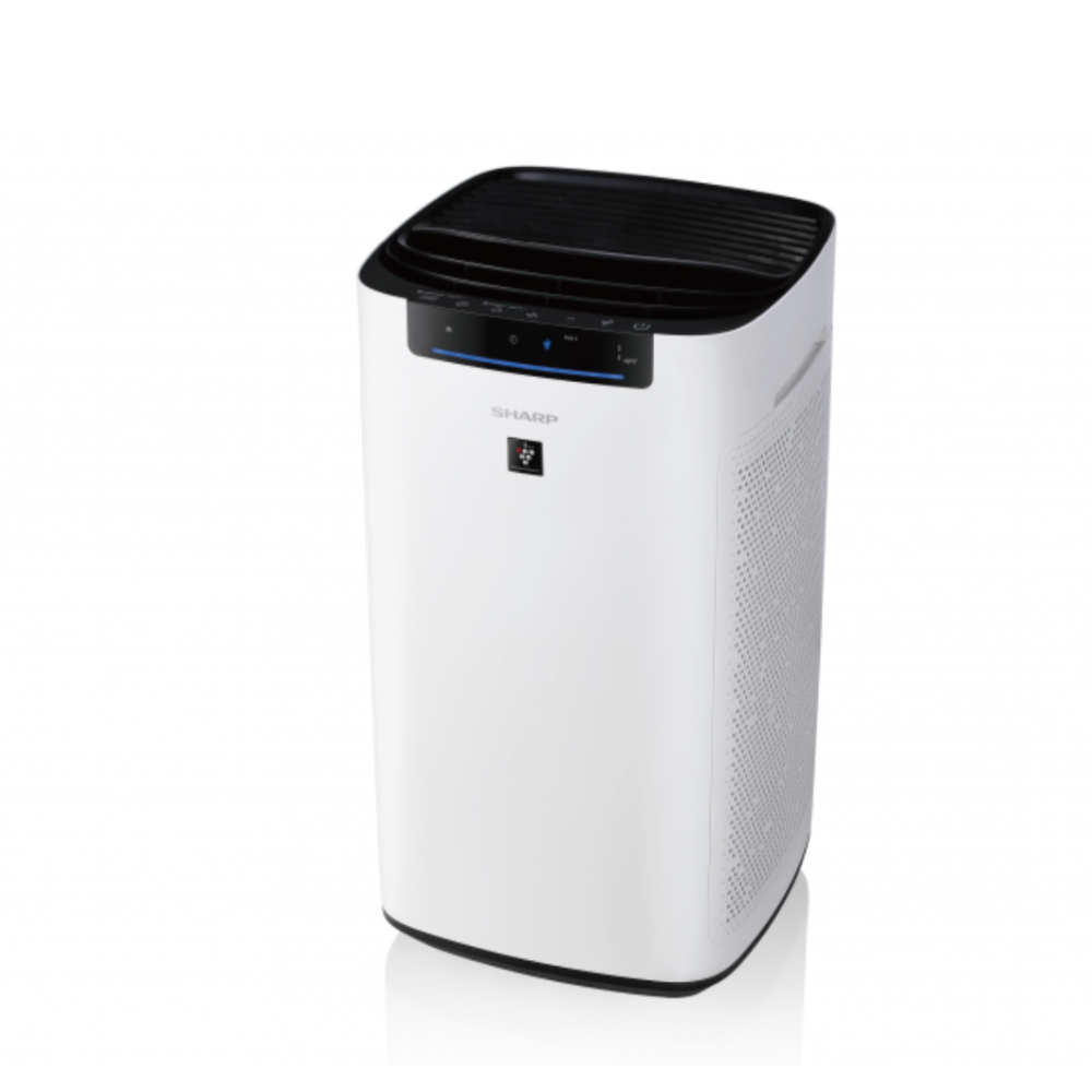 限量福利品【夏普】高效除甲醛空清機 U-R110T-W-FA